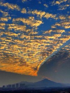 炒股就要以静制动,散户细品。