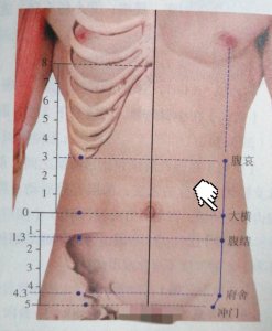 每日一穴——大横穴