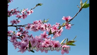 民间故事:桃花村的传说