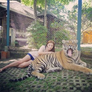 女游客与蛇互动玩亲亲,不料惨遭“蛇吻”,吓得训蛇师直尖叫!