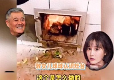 球球不识灶台,火也不知,疑被爸妈宠坏?赵本山喊话多回农村蹲着