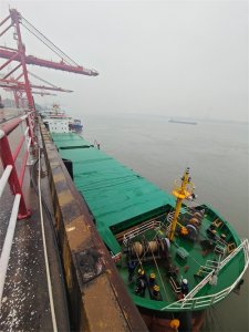 武汉阳逻港迎来蛇年首艘外籍入境船舶