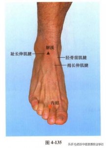 足阳明胃经经穴——内庭穴