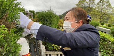 不拖延!选择上坟最佳时机,清明节前一定要抓住这个机会