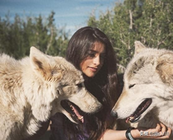 nba国王老板千金阿佳丽-拉纳戴夫