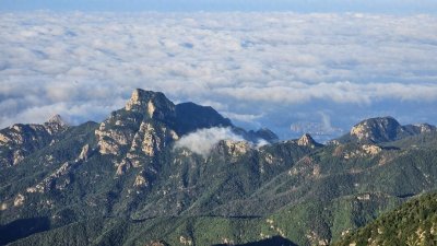 岱岳区综合行政执法局高铁站中队:为春运保驾护航