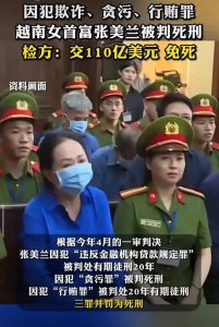 现实版有钱能使鬼推磨!越南女首富张美兰被告知110亿美元可免死