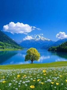 微信头像|风景头像有山有水,招财头像,好运头像。