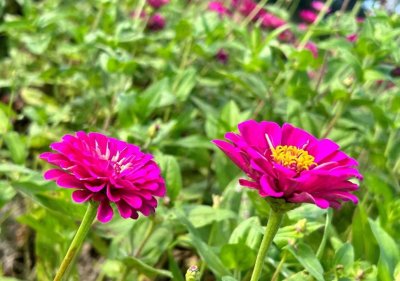 男人最爱,最放不下的,是这几种女人