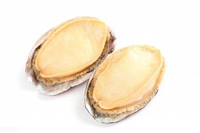 壹邦小知识:鲍鱼几个头指的是什么意思 鲍鱼多少头的才是好的