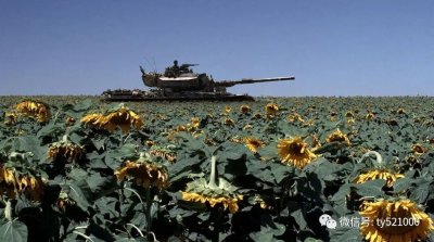 (13)看电影学历史:《黎巴嫩》—小视角下的战争