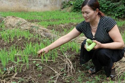农村留守妇女的真实生活:一个35岁女性的自述