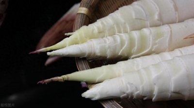 春日盛宴:10大春季美食让你品味舌尖上的春天!