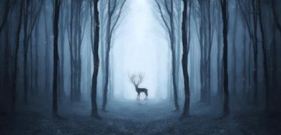 一被批评就容易哭是不是有病