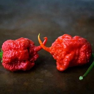 世界上最辣的辣椒排名!