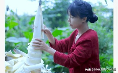 网曝李子柒停更原因:不得不卖掉房子来处理,不是被李亚鹏挖团体