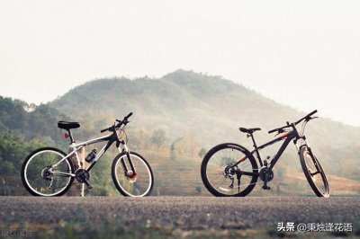 中国十大自行车品牌详解,有你最爱的品牌吗?