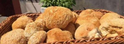 ​猴头菇变黄了还能吃,干猴头菇变褐色还能吃吗