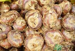 荸荠皮可以吃吗?荸荠皮的功效与作用