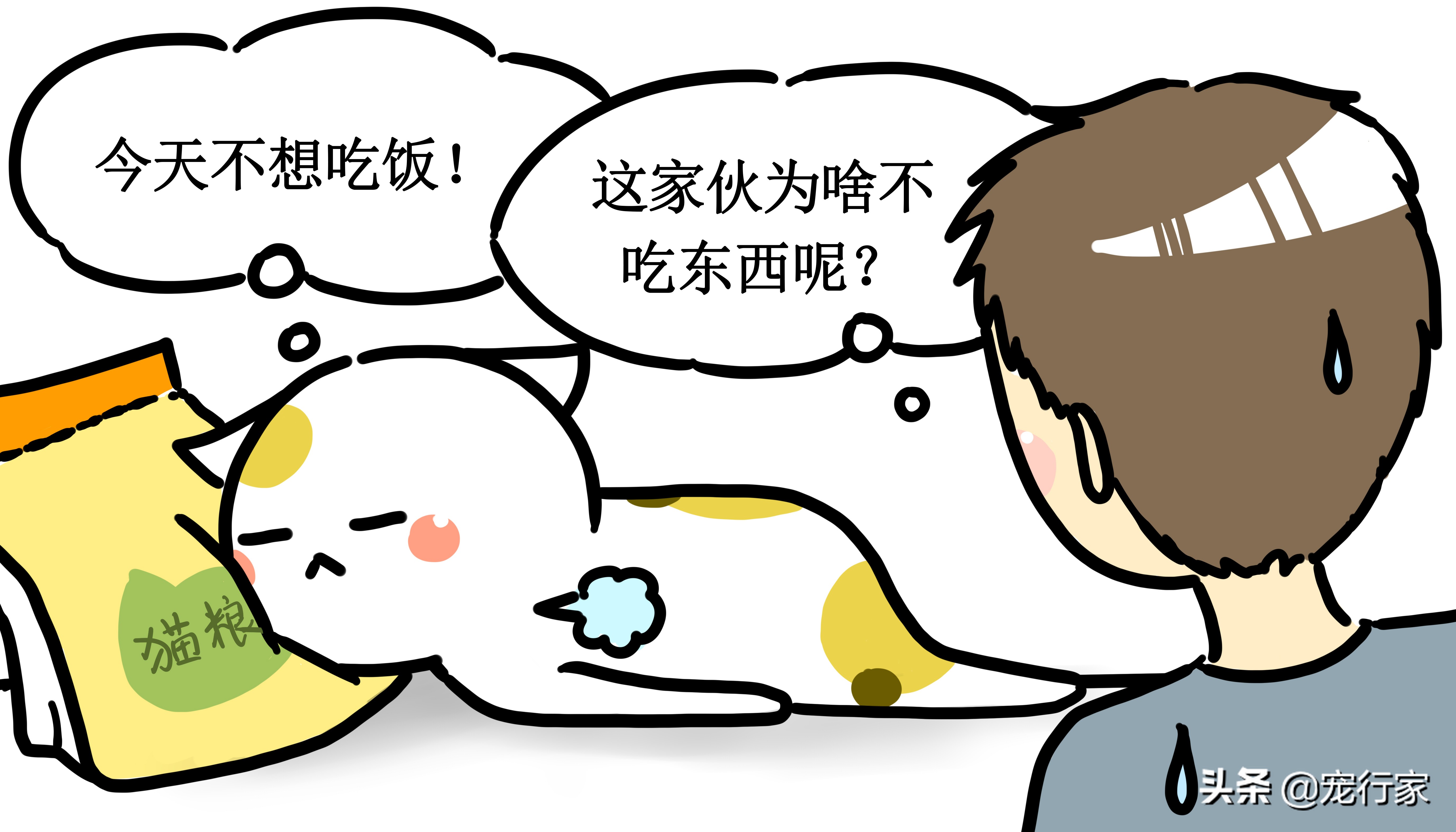 猫不吃不喝能活几天（猫不吃东西的背后原因）