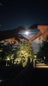 ​用了整个青春在爱你，你终究不是我的