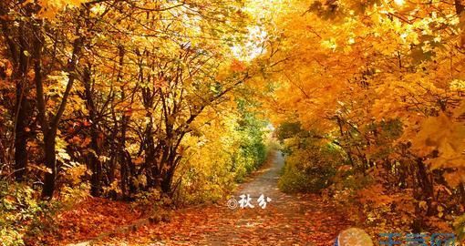 用修辞手法表现秋分的特点