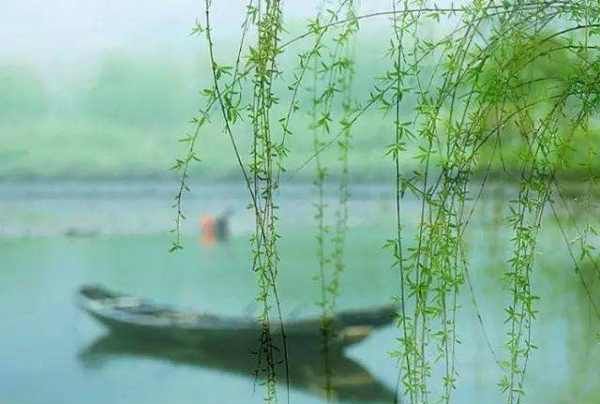 四月天是指几月份,人间四月天是什么意思图4