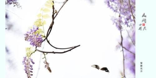 四月天是指几月份,人间四月天是什么意思图5