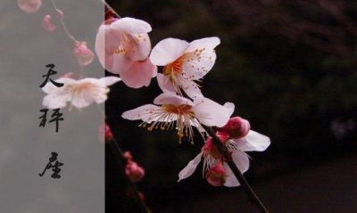 ​9个特征，说尽真实的天秤座