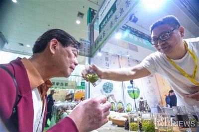 ​黄金芽在茶叶中什么档次（黄金芽属于什么茶）