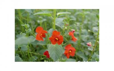 ​无论离婚与否我都能接受