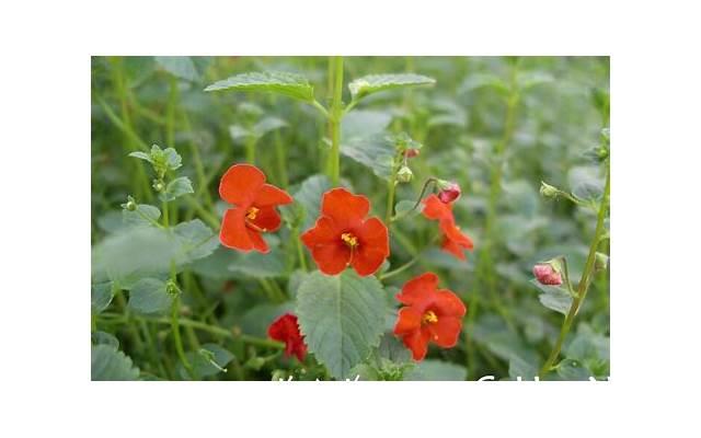 无论离婚与否我都能接受