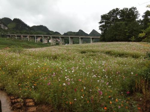 三十里花海 百度网盘(三十里花海合集 百度云)-第1张图片-