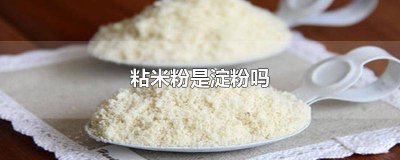 粘米粉和淀粉一样吗 粘米粉和淀粉的区别