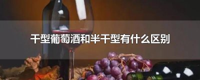 干型葡萄酒和半干型有什么区别