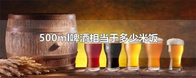 ​一杯啤酒相当于多少米饭 一瓶啤酒相当多少米饭