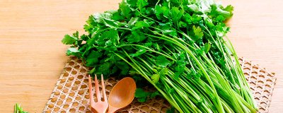 ​芫荽和香菜的区别