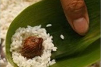 包粽子步骤50字,包粽子的步骤6步文字图6