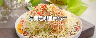 ​凉面是哪里的特产