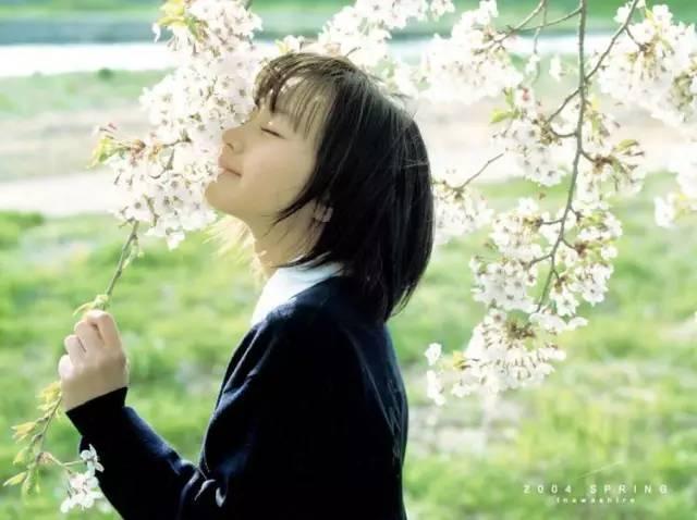 堀北真希宣布引退（回到堀北真希隐退之前）(4)