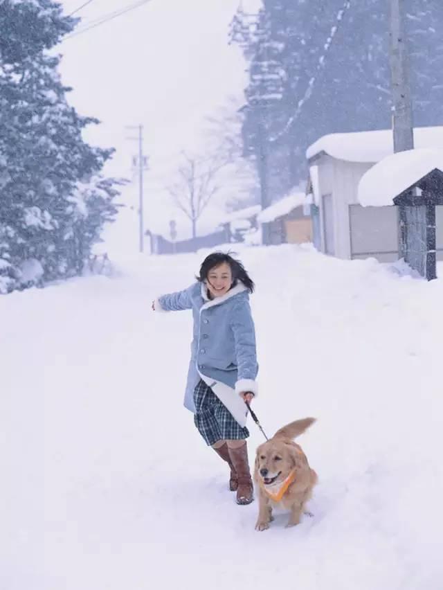 堀北真希宣布引退（回到堀北真希隐退之前）(10)