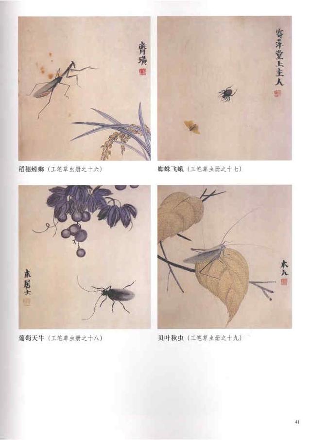 齐白石真实作品欣赏（齐白石早期作品大全800幅）(62)