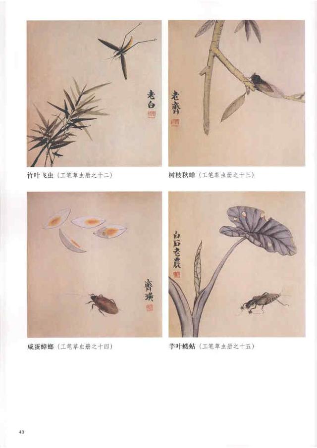 齐白石真实作品欣赏（齐白石早期作品大全800幅）(63)