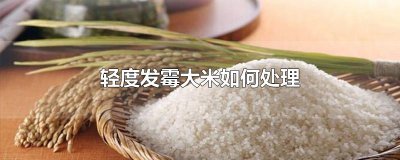 ​轻度发霉大米如何处理