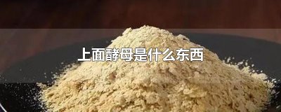 ​上面酵母是什么东西