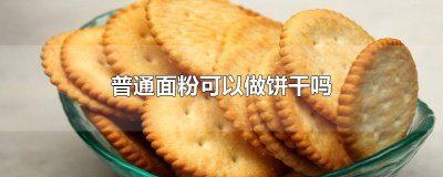 ​普通面粉可以做饼干吗