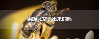 ​果蝇凭空长出来的吗