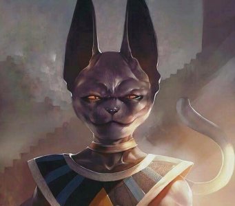 ​龙珠：比鲁斯厉害吗？为何是最强破坏神，难道比鲁斯会自在极意功