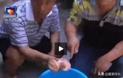 ​傻白甜记者误认太岁引乌龙 考古科普太重要