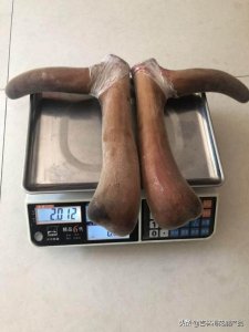 ​泡枸杞的酒什么酒最好(泡枸杞有什么用)